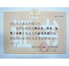 2013年金馬著名商標證書